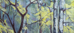 Nature's Stained Glass Window - Silver Birches - Spring | 2013 | Oil on Canvas | 64 x 46 cm